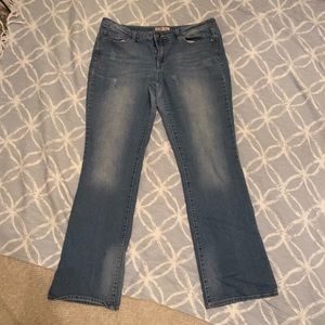 LEI Felicia low rise bootcut Size 15 long